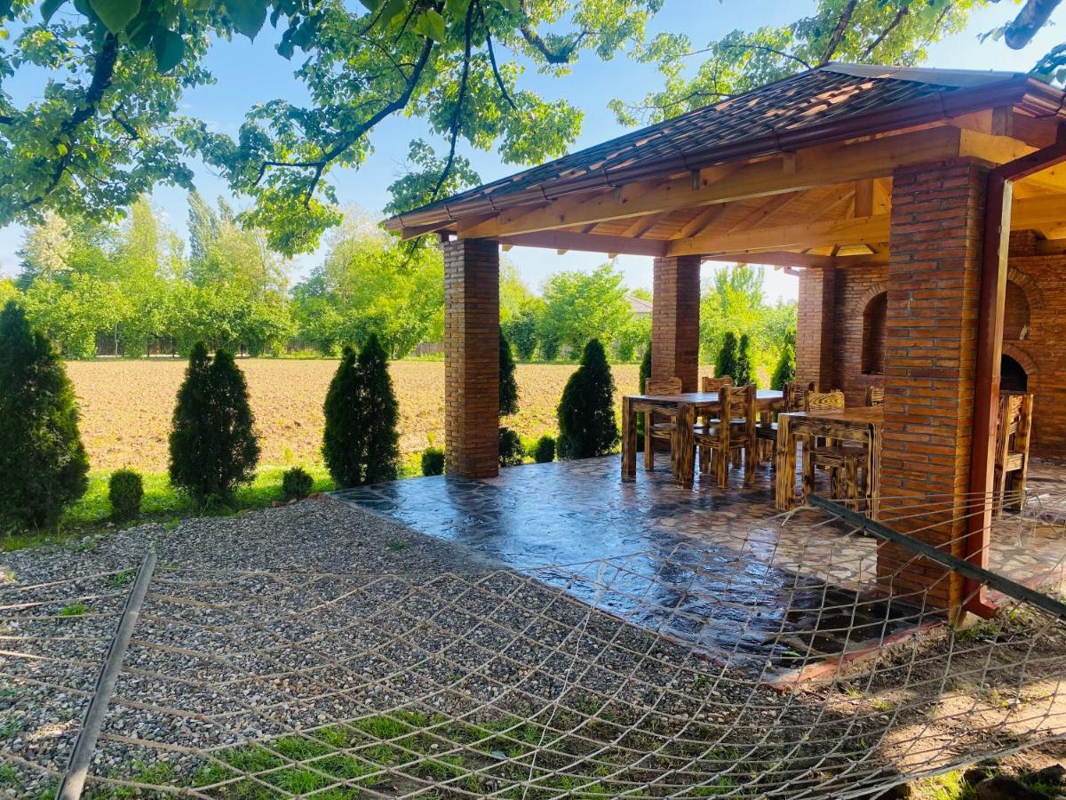 Guesthouse Kamelia Мартвили Экстерьер фото