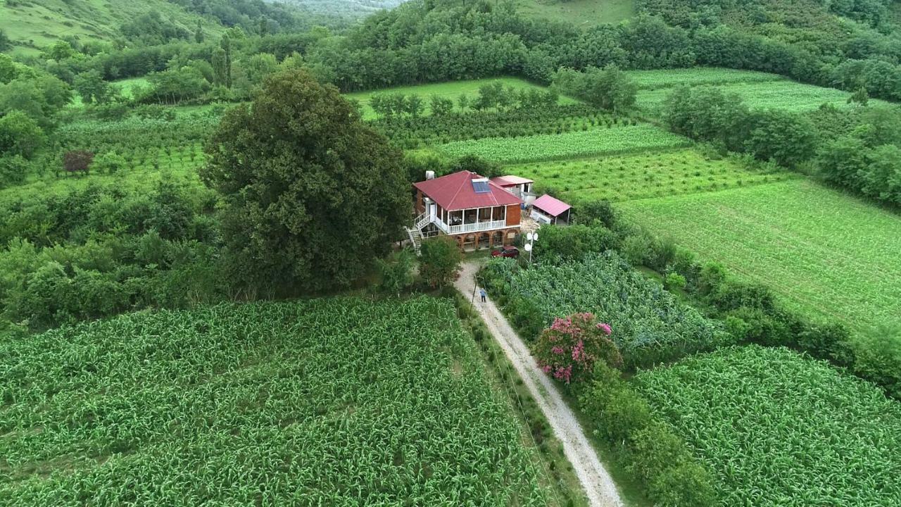 Guesthouse Kamelia Мартвили Экстерьер фото